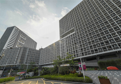 2024奥门原料网站