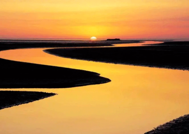 2025奥门原料网站