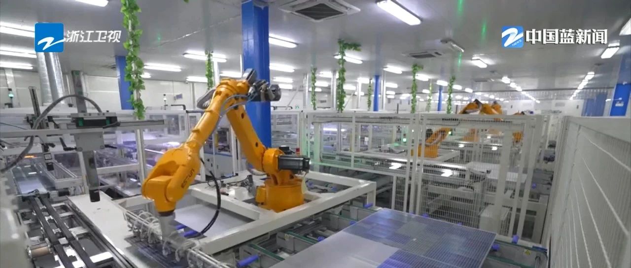 2024奥门原料网站